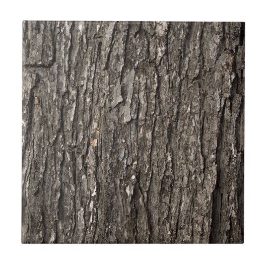 Starke Baumrinde Fliese (Vorderseite)