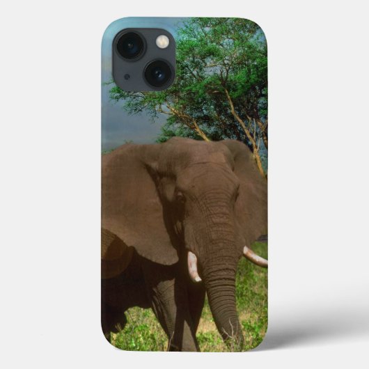 "Stärke: Die Weide des Bull Elephant" Case-Mate iPhone Hülle (Rückseite)