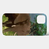 "Stärke: Die Weide des Bull Elephant" Case-Mate iPhone Hülle (Rückseite (Horizontal))