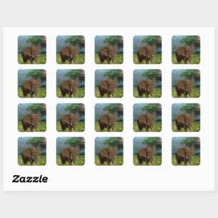 "Stärke: Die Weide des Bull Elephant" Quadratischer Aufkleber