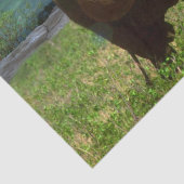 "Stärke: Die Weide des Bull Elephant" Seidenpapier (Detail)