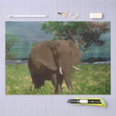 "Stärke: Die Weide des Bull Elephant" Seidenpapier (Handwerk)