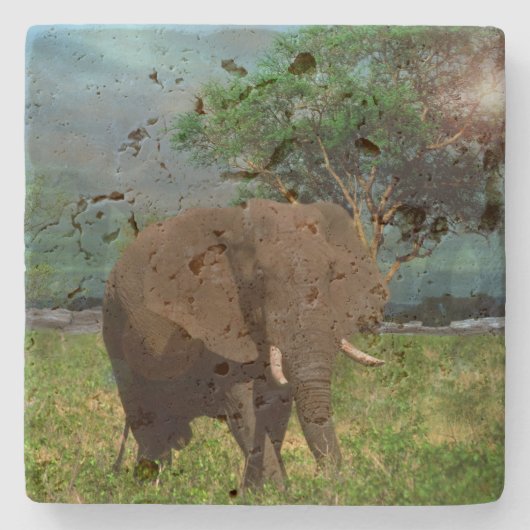 "Stärke: Die Weide des Bull Elephant" Steinuntersetzer (Vorderseite)