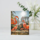 Starke Flamingo-Postkarte Postkarte (Stehend Vorderseite)