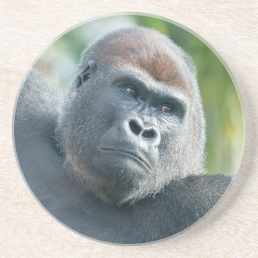 Stärke - Gorilla Side Glanz Getränkeuntersetzer (Vorne)