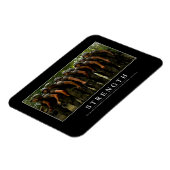 Stärke: Inspirationsangebot Magnet (Linke Seite)