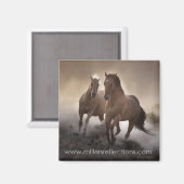 Stärke Magnet (Vorderseite/Rückseite)