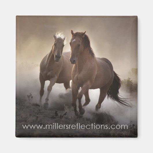 Stärke Magnet (Vorne)