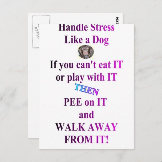 STÄRKE POSTKARTE (Vorne/Hinten)