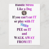 STÄRKE POSTKARTE (Vorderseite)