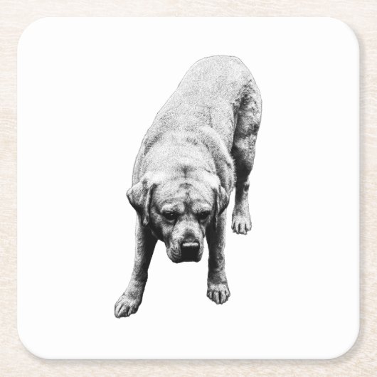 Stärke Rechteckiger Pappuntersetzer (Vorderseite)