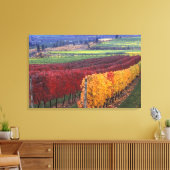 Starke rote und gelbe Herbstfarben auf dem Gehring Leinwanddruck (Insitu (Wohnzimmer))