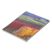 Starke rote und gelbe Herbstfarben auf dem Gehring Notizblock (Rotiert)