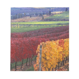 Starke rote und gelbe Herbstfarben auf dem Gehring Notizblock