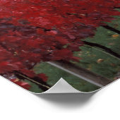 Starke rote und gelbe Herbstfarben auf dem Gehring Poster (Ecke)