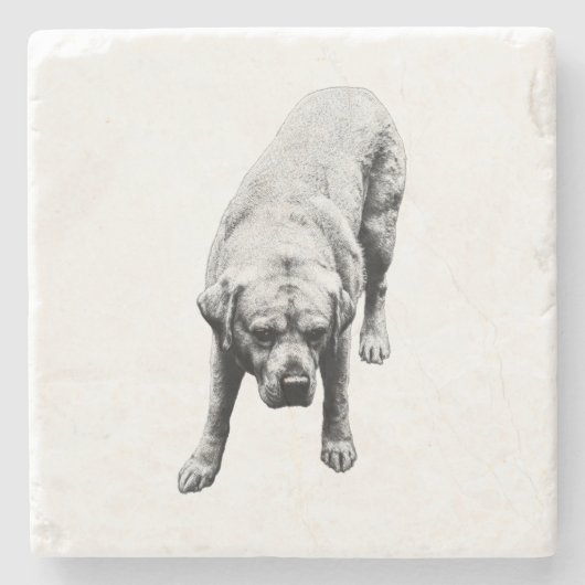 Stärke Steinuntersetzer (Vorderseite)