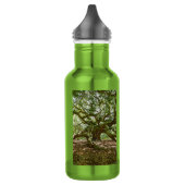 Starke und feine Wasserflasche (Links)