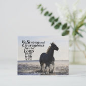Starke und mutige Deuteronomie 31:6 Pferd Postkarte (Stehend Vorderseite)