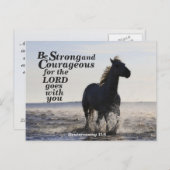 Starke und mutige Deuteronomie 31:6 Pferd Postkarte (Vorne/Hinten)
