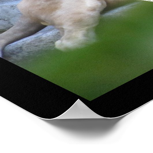 Starke und mutige poster (Ecke)