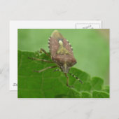 Starken Sie auf mich? Postkarte (Vorne/Hinten)