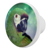 Starker Ara Papagei Nah Keramikknauf (Rechts)