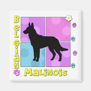 Starker Belgier Malinois Magnet