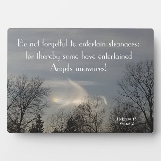 STÄRKER KÖNNEN ANGELN SEIN FOTOPLATTE (Vorderseite)