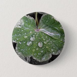 starker Regen Button