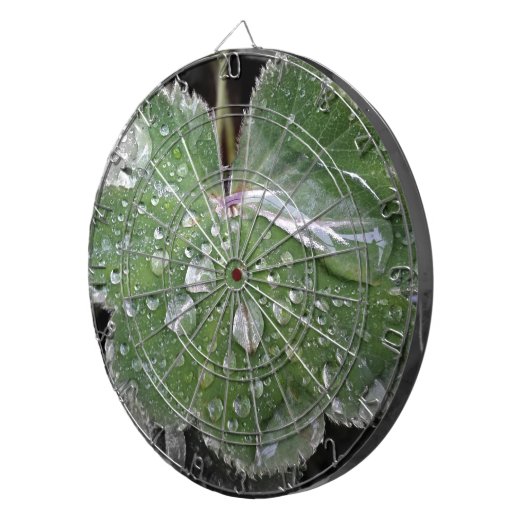 starker Regen Dartscheibe (Vorderseite rechts)