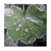 starker Regen Fliese (Vorderseite)