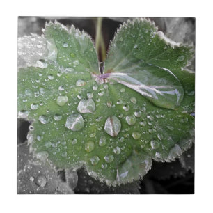 starker Regen Fliese