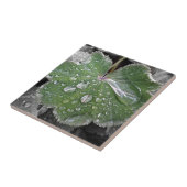 starker Regen Fliese (Seite)