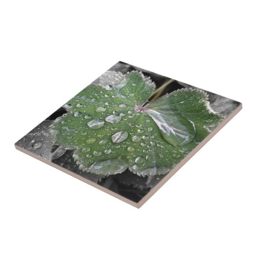 starker Regen Fliese (Seite)