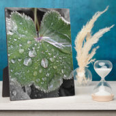 starker Regen Fotoplatte (Seite)