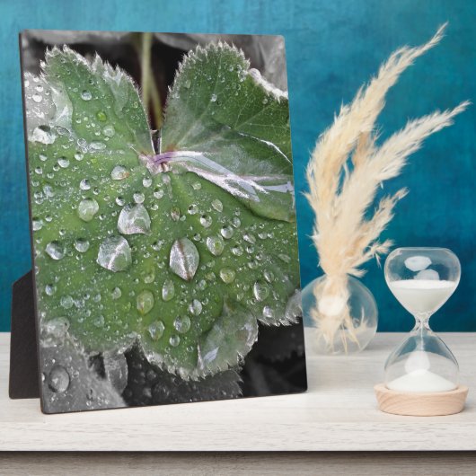 starker Regen Fotoplatte (Seite)