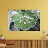 starker Regen Leinwanddruck (Insitu (Wohnzimmer))