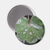 starker Regen Magnet (Vorderseite/Rückseite)