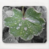 starker Regen Mousepad (Vorne)