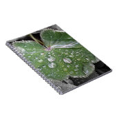 starker Regen Notizblock (Rechte Seite)