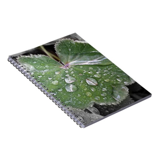 starker Regen Notizblock (Rechte Seite)