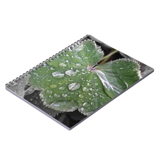 starker Regen Notizblock (Linke Seite)