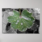 starker Regen Poster (Vorne)