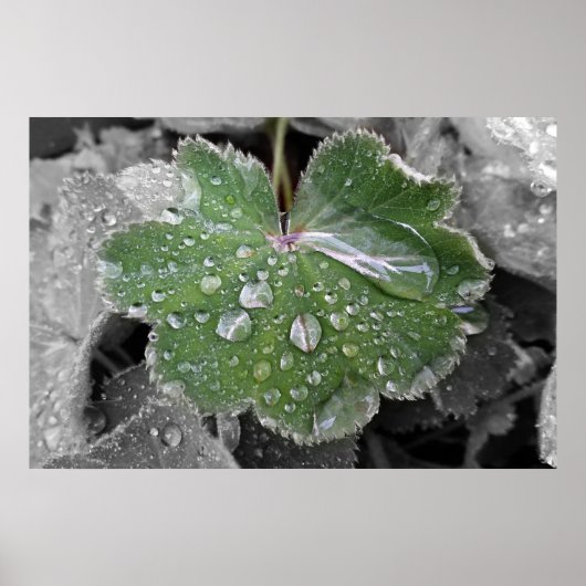 starker Regen Poster (Vorne)