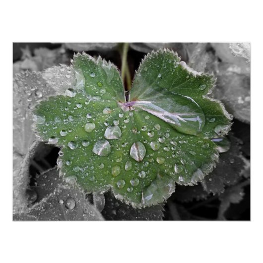 starker Regen Poster (Vorderseite)