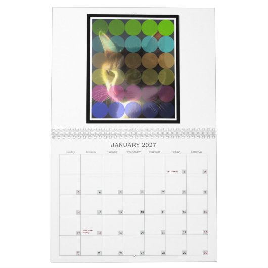 Starker Welpen-Katzen-Kunst-Kalender 2013 Kalender (Jan 2027)