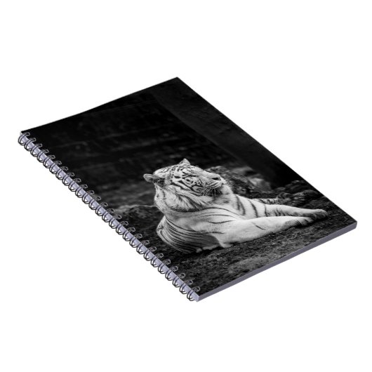 STÄRKERES DENKEN NOTIZBLOCK (Rechte Seite)