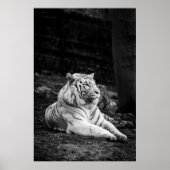 STÄRKERES DENKEN POSTER (Vorne)