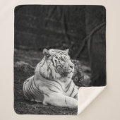 STÄRKERES DENKEN SHERPADECKE (Vorderseite)