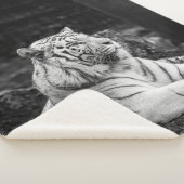 STÄRKERES DENKEN SHERPADECKE (3/4)